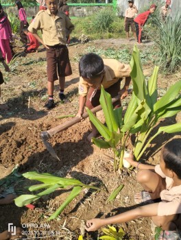 KEGIATAN P5